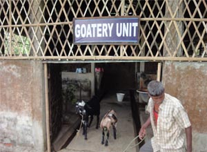 Goater Unit